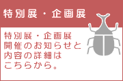 特別展・企画展