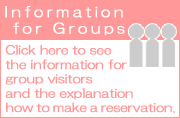 Information for Groups