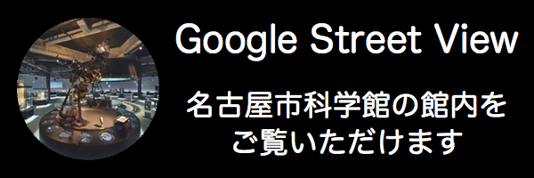 google_sv.jpg