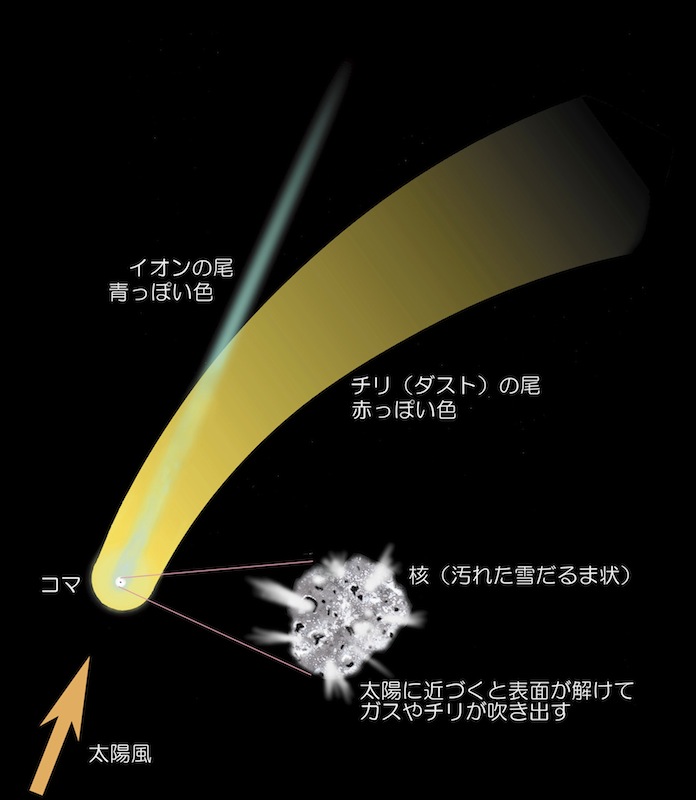 http://www.ncsm.city.nagoya.jp/study/astro/comet.jpg