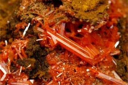 紅鉛鉱（オーストラリア産）.jpg
