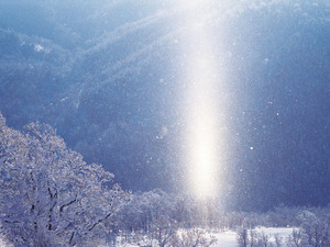 L216-pic2-en.jpg