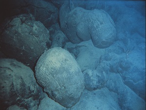 L223-pic2-en.jpg