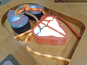 FUJIなごや科学館 | 科学館を利用する | 展示ガイド | フロア