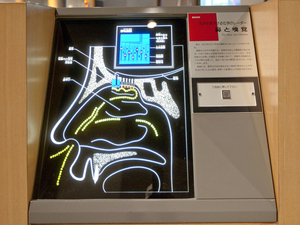 L428-photo.jpg