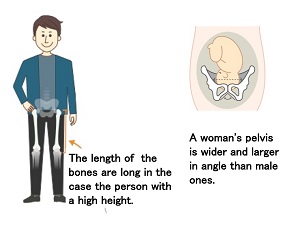L447-pic1-en.jpg