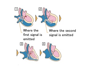 L449-pic1-en.jpg