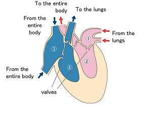 L449-pic2-en.jpg