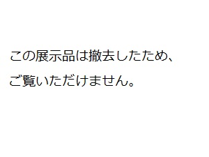 L519-pic1-jp.jpg