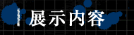 展示内容