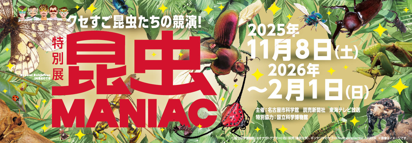 昆虫MANIAC