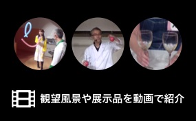 動画コンテンツ