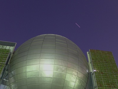 P1010527-crop.jpg