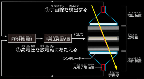 sp_01.jpg