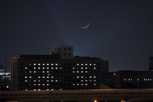 IMG_1105_m2.jpg