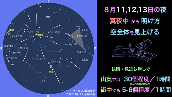 Perseids2025.jpeg