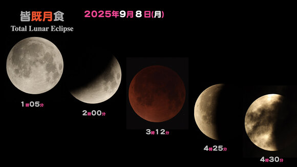 20250908TLE_1.jpeg