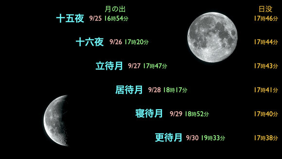 共通26-09IP.002.jpeg