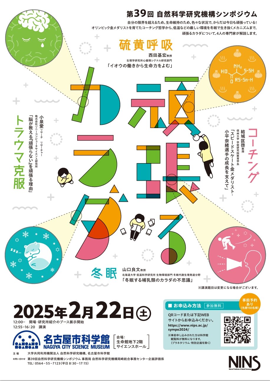 スクリーンショット_28-12-2024_9548_asala1.jpeg