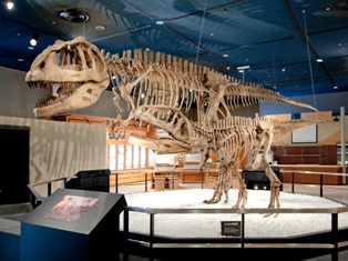 mapusaurus.jpg