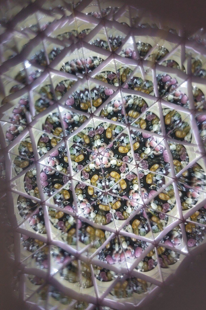 pic2.jpg