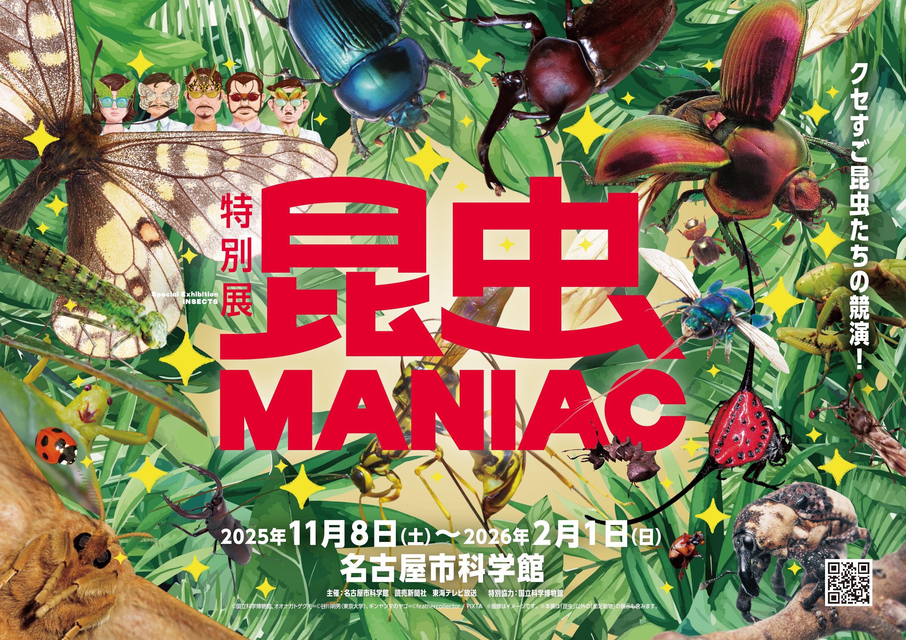 insects_maniac_2025.jpg